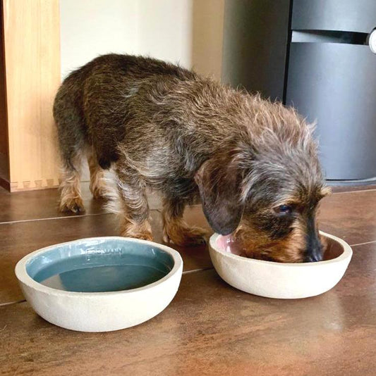 Personalisierter Napf XS